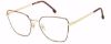 Picture of Carrera Eyeglasses 3022