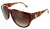 Picture of Carrera Sunglasses FLAGLAB 13