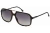 Picture of Carrera Sunglasses 229/S