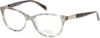 Picture of Catherine Deneuve Eyeglasses CD0412