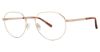 Picture of Cev Eyeglasses 113M