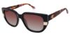 Picture of Champion Sunglasses LEX