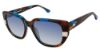 Picture of Champion Sunglasses LEX