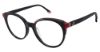 Picture of Champion Eyeglasses REACH
