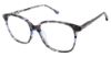 Picture of Champion Eyeglasses LENA