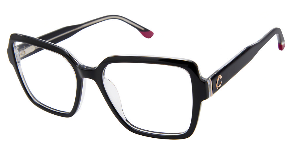 Picture of Champion Eyeglasses LAKE