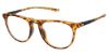 Picture of Champion Eyeglasses REVEL100