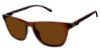 Picture of Champion Eyeglasses CU6057