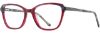 Picture of Cinzia Eyeglasses CIN-5175