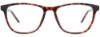 Picture of Cool Clip Eyeglasses CC840