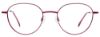 Picture of Cool Clip Eyeglasses CC844