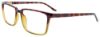 Picture of Cool Clip Eyeglasses CC847