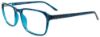 Picture of Cool Clip Eyeglasses CC849