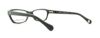 Picture of D&G Eyeglasses DD1216