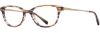 Picture of db4k Eyeglasses Stellar