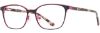 Picture of db4k Eyeglasses Eclipse
