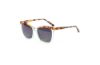 Picture of Di Valdi Sunglasses DV0158