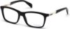 Picture of Diesel Eyeglasses DL5089