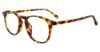 Picture of Diff Eyeglasses JAXSON