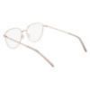 Picture of Dkny Eyeglasses DK1027
