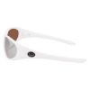 Picture of Dragon Sunglasses DR THE BOX 2 LL POLAR