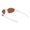 Picture of Dragon Sunglasses DR THE BOX 2 LL POLAR