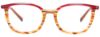 Picture of Easyclip Eyeglasses EC503