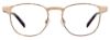 Picture of Easyclip Eyeglasses EC420