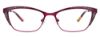 Picture of Easyclip Eyeglasses EC458