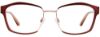 Picture of Easyclip Eyeglasses EC497