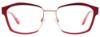 Picture of Easyclip Eyeglasses EC497