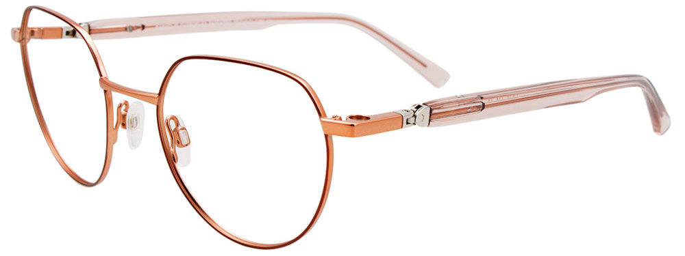 Picture of Easyclip Eyeglasses EC578