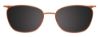 Picture of Easyclip Eyeglasses EC557