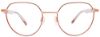 Picture of Easyclip Eyeglasses EC578
