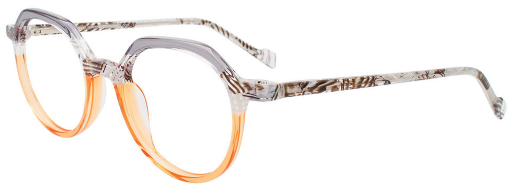 Picture of Easyclip Eyeglasses EC679