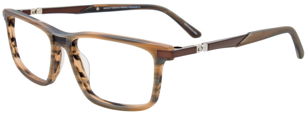 Picture of Easyclip Eyeglasses EC648