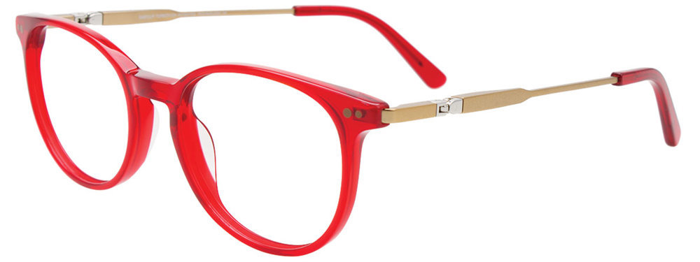 Picture of Easyclip Eyeglasses EC667
