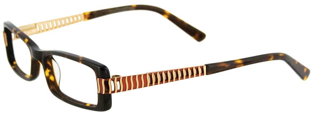 Picture of Easyclip Eyeglasses EC185