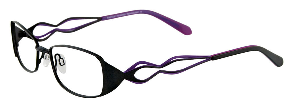 Picture of Easyclip Eyeglasses EC225