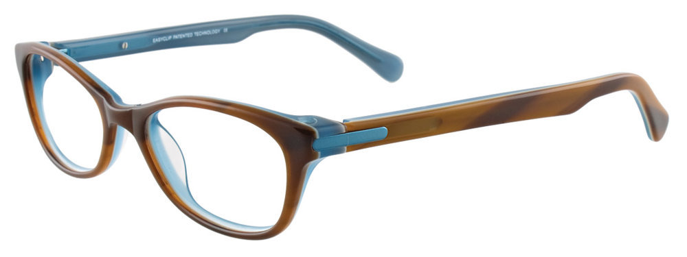 Picture of Easyclip Eyeglasses EC286
