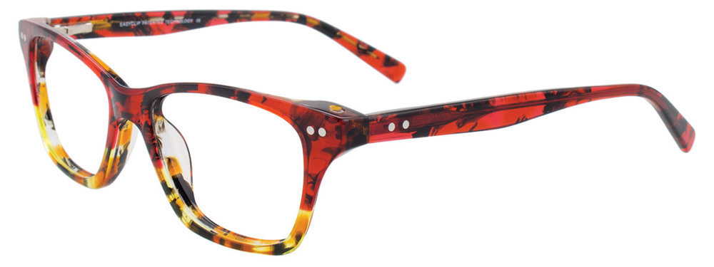 Picture of Easyclip Eyeglasses EC453