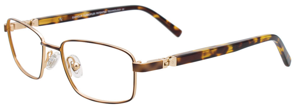 Picture of Easyclip Eyeglasses EC558
