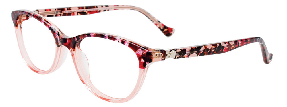 Picture of Easyclip Eyeglasses EC568