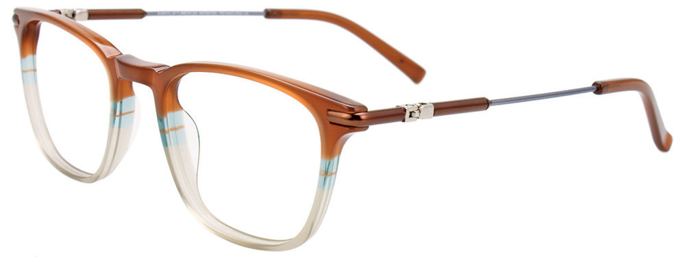 Picture of Easyclip Eyeglasses EC580