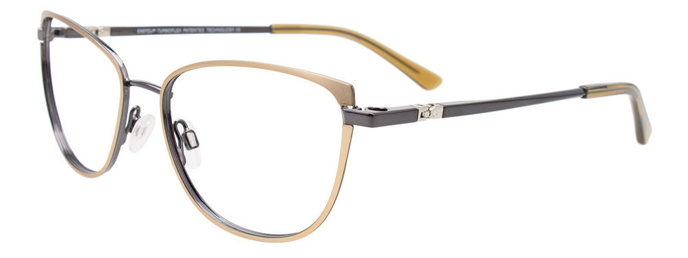 Picture of Easyclip Eyeglasses EC624