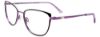 Picture of Easyclip Eyeglasses EC624