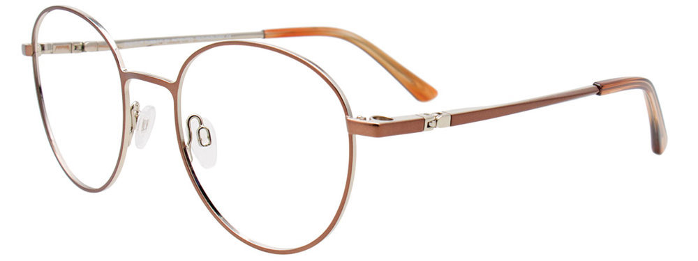 Picture of Easyclip Eyeglasses EC625