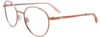 Picture of Easyclip Eyeglasses EC625