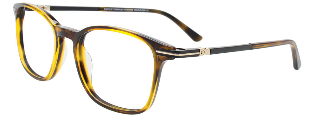 Picture of Easyclip Eyeglasses EC637