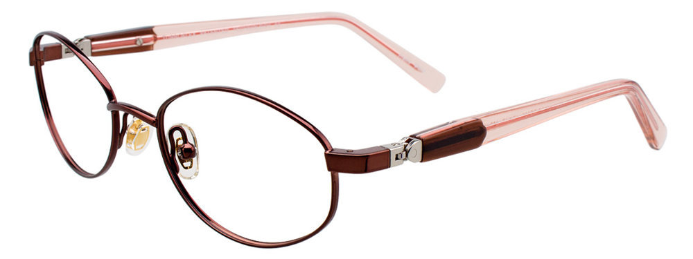 Picture of Easyclip Eyeglasses EC399